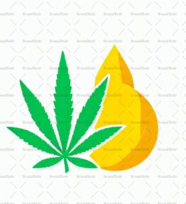 Cannabis Öl